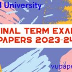 Final Term Exam Papers 2023